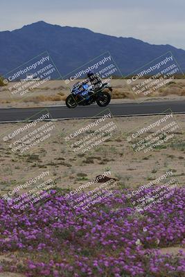 media/Jan-14-2023-SoCal Trackdays (Sat) [[497694156f]]/Turn 14 Exit Bloomig (145pm)/